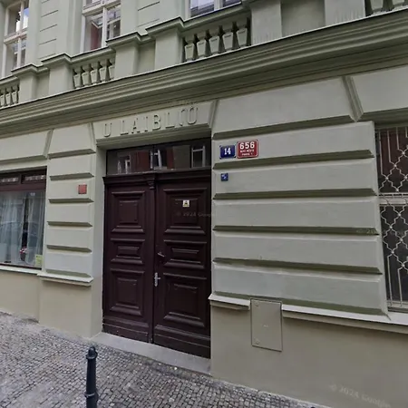 Apartmán Magnificent With Sauna And Billiards Praha